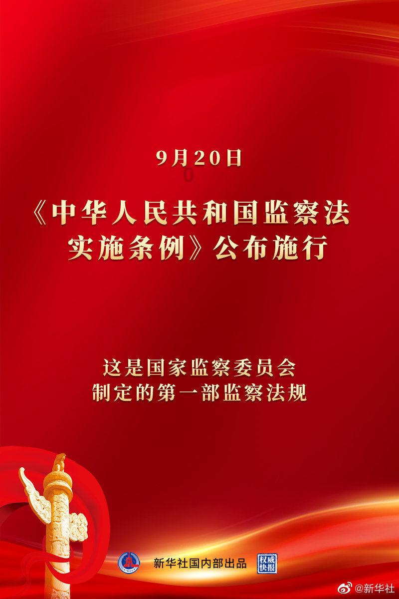 苏菲亚的休闲装